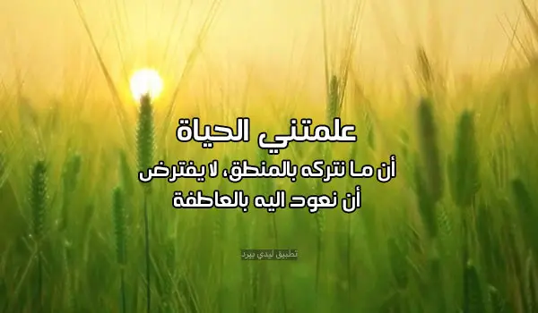 1698001153 373 كلام معبر وقوي jpg