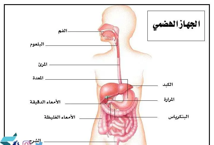 1698249686 499 ٢٠٢٠١٢١٥ ٢٣١٧٠٦ jpg