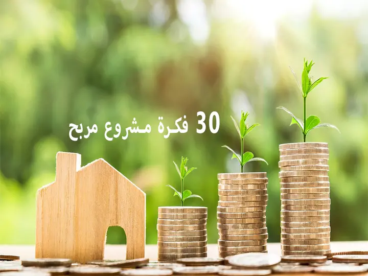 30 فكرة مشروع مربح بتكاليف تبدأ من 100 دولار jpg