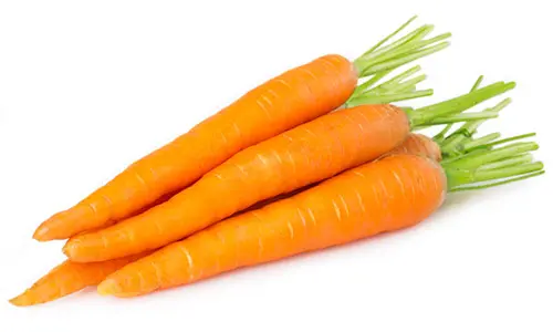 Benefits of carrot jpg