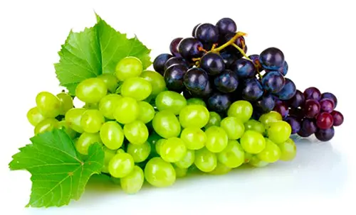 Benefits of grapes jpg