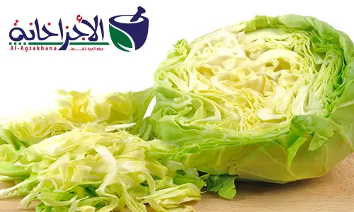 Cabbage diet to lose weight 1 jpg