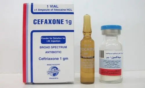 Cefaxone Ampules jpg