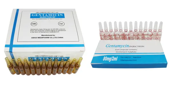 Gentamicin Ampules jpg