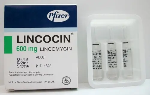 Lincocin Ampoules jpg