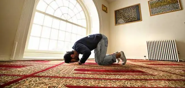 SALAT jpg