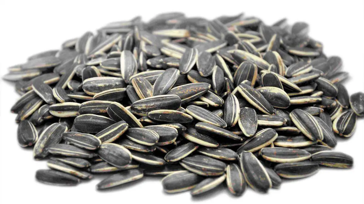 sunflower seeds