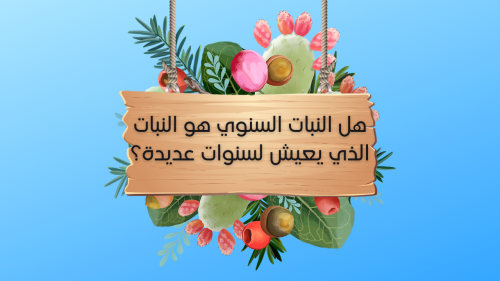 النبات السنوي هو النبات الذي يعيش لسنوات عديدة. 500x281 1