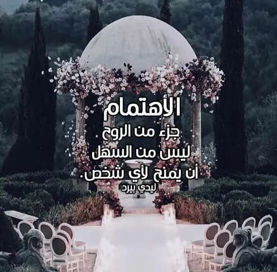 رسائل عن الاهتمام 550x540 jpg