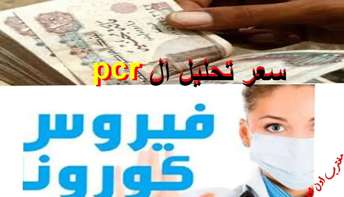 سعر تحليل pcr للسفر تعرف علي رسوم تحليل pcr للسفر للسعوديه والكويت