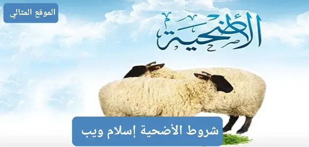 شروط الأضحية إسلام ويب jpg