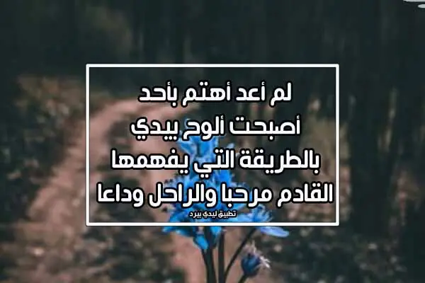 كلام لمن لا يهتم بك jpg