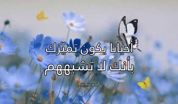 كلام لواحد متضايق jpg