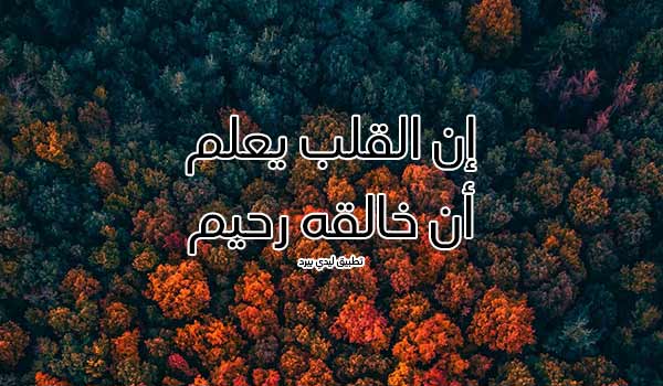 كلمات اسلامية للاصدقاء