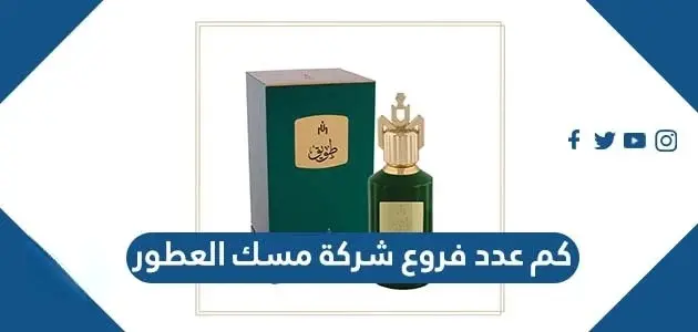 كم عدد فروع شركة مسك العطور jpg