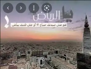 ماذا قالو عن الرياض.webp