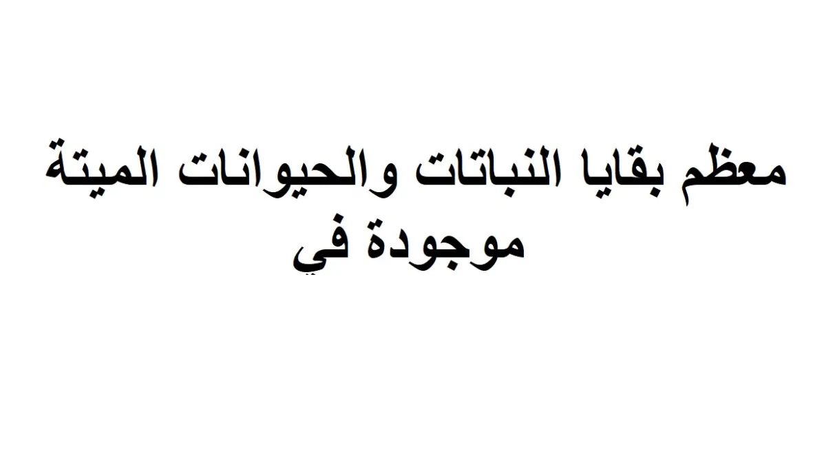 معظم بقايا النباتات والحيوانات الميتة موجودة في