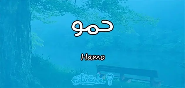 معنى اسم حمو Hamo وشخصيته وصفاته jpg